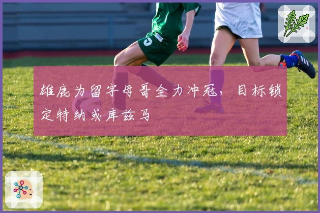 雄鹿为留字母哥全力冲冠，目标锁定特纳或库兹马